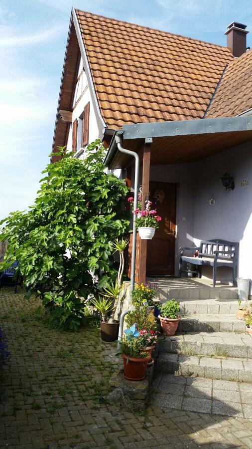 Appartamento Urlaub Im Elsass Artolsheim Esterno foto
